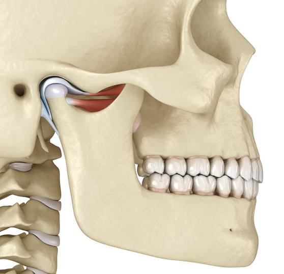 Illustration showing the temporomandibular joint